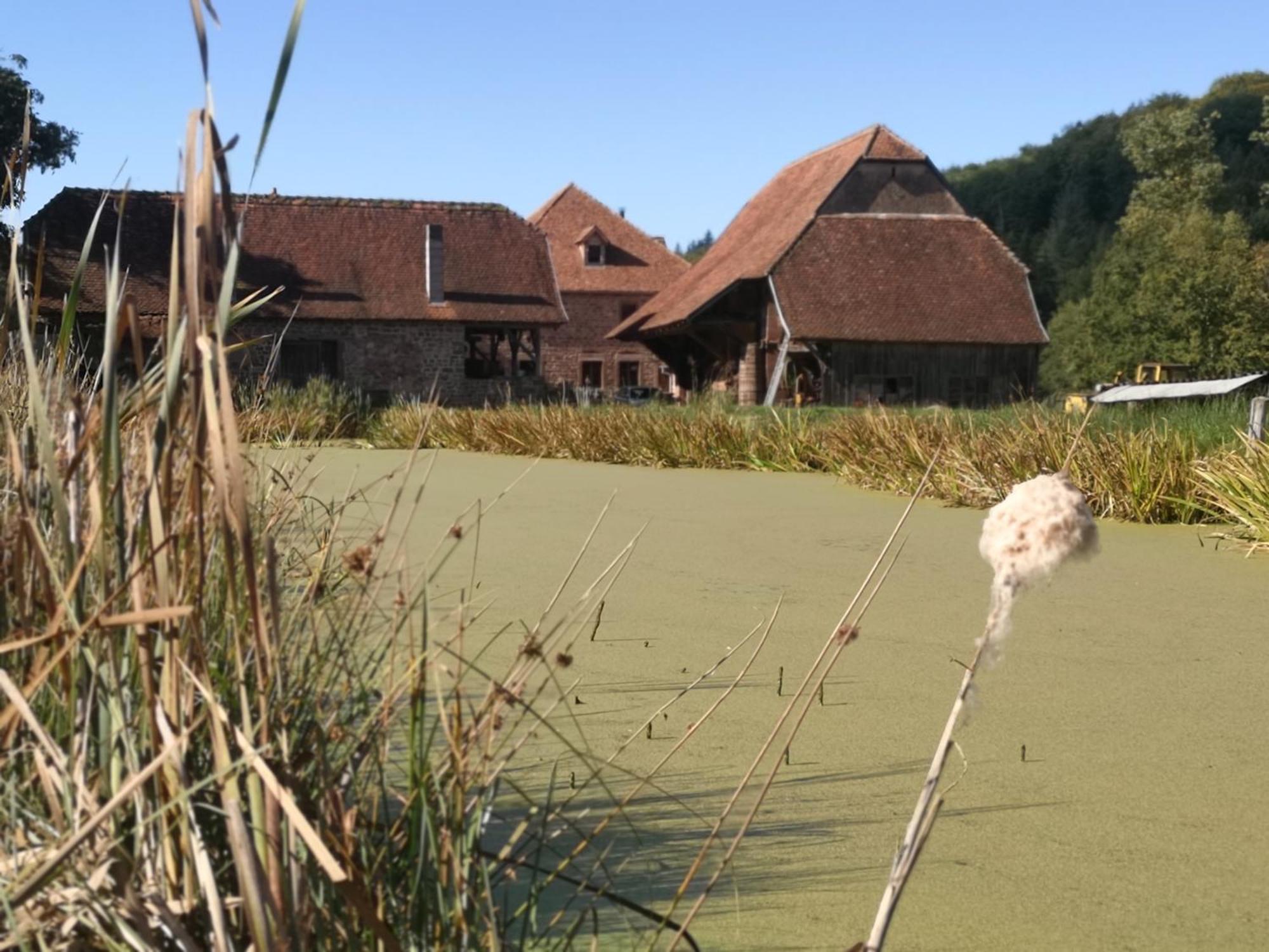 Maison D'Hotes De Charme - Ancien Moulin En Pleine Nature - La Paulusmuehle Soucht Luaran gambar