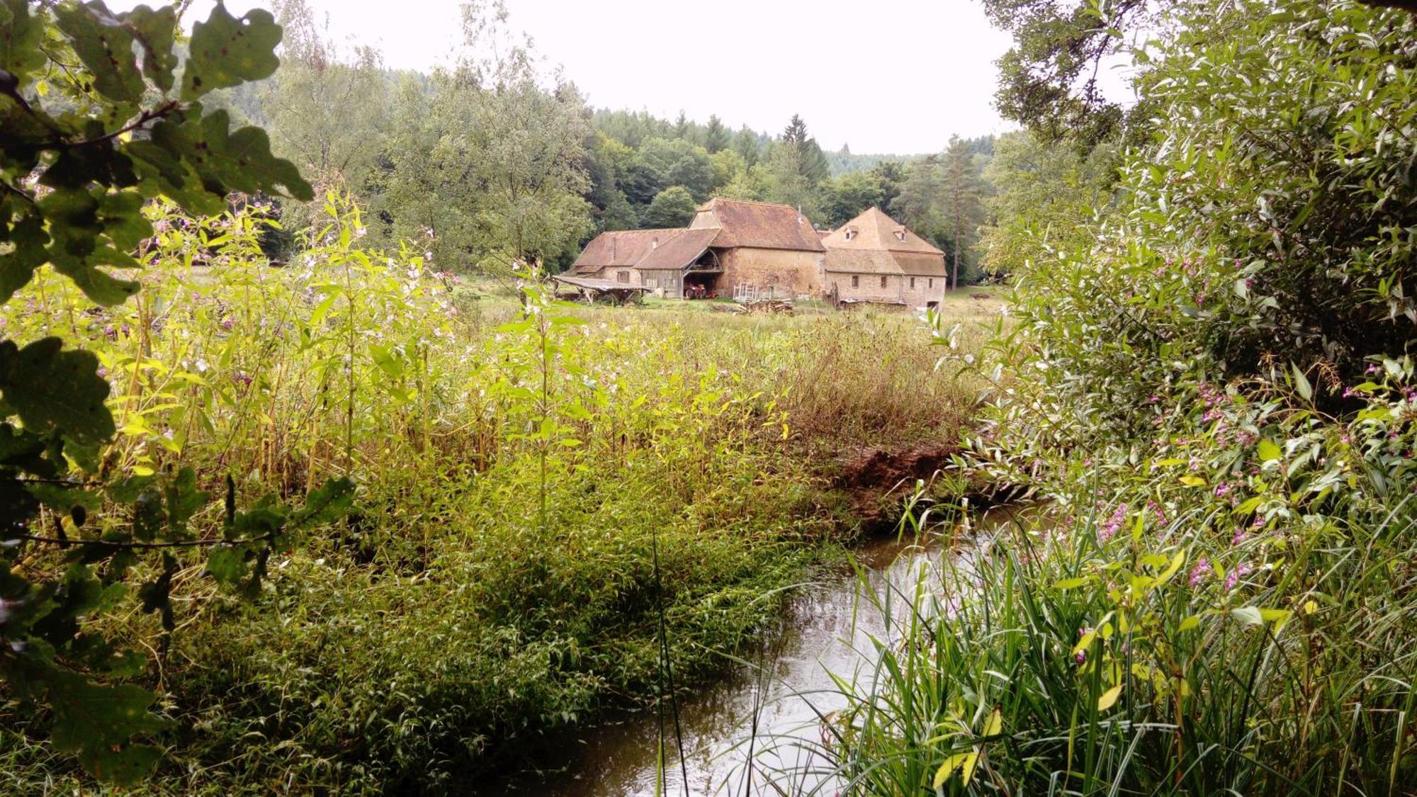Maison D'Hotes De Charme - Ancien Moulin En Pleine Nature - La Paulusmuehle Soucht Luaran gambar