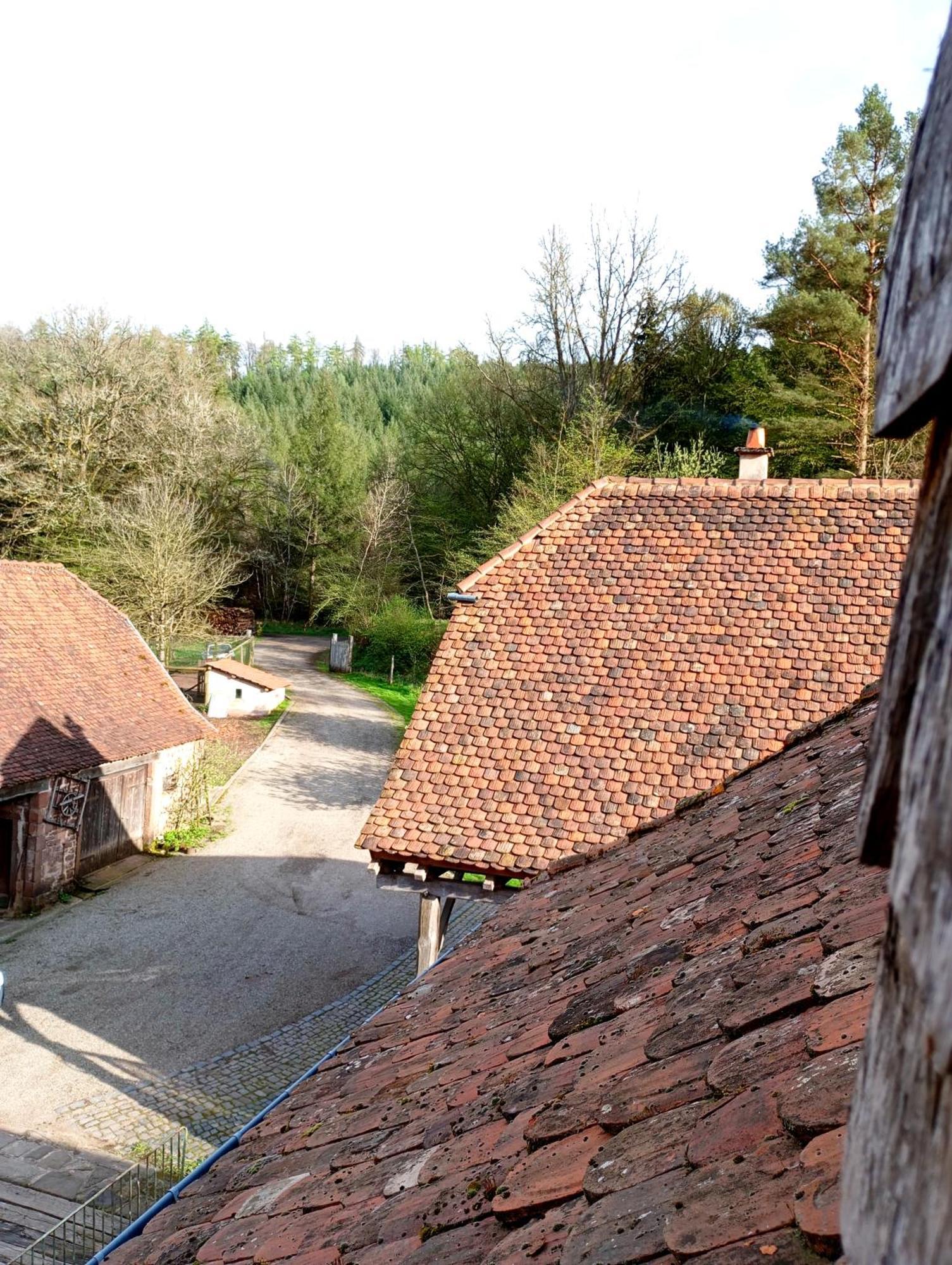 Maison D'Hotes De Charme - Ancien Moulin En Pleine Nature - La Paulusmuehle Soucht Luaran gambar