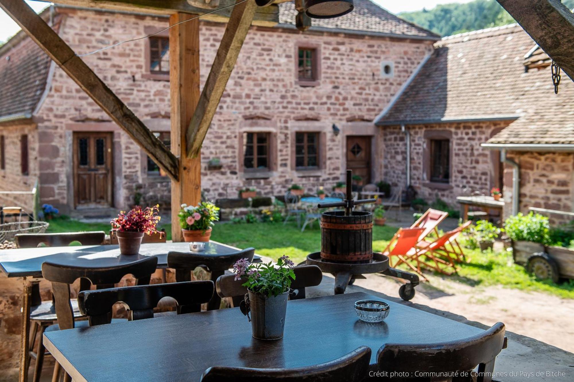 Maison D'Hotes De Charme - Ancien Moulin En Pleine Nature - La Paulusmuehle Soucht Luaran gambar